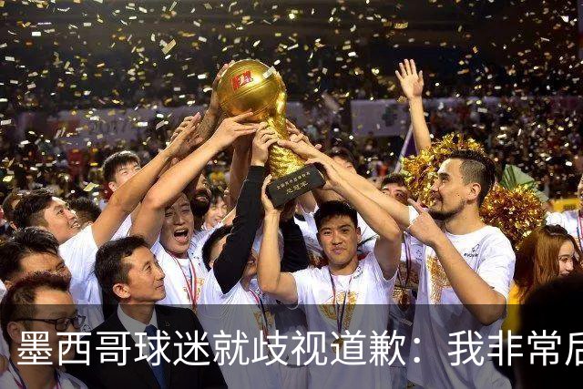 墨西哥球迷就歧视道歉：我非常后悔，已辞去工程师协会职务