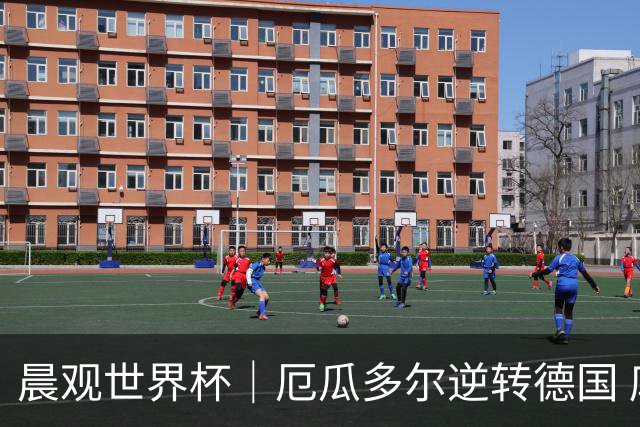 晨观世界杯｜厄瓜多尔逆转德国 库拉索止步小组赛