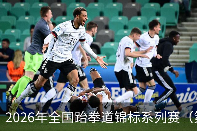 2026年全国跆拳道锦标系列赛（第二站）在广州举行